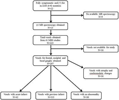 Correlation of Serum Biomarkers and Magnetic Resonance Spectroscopy in Monitoring Disease Progression in Patients With Mitochondrial Encephalomyopathy, Lactic Acidosis, and Stroke-Like Episodes Due to mtDNA A3243G Mutation